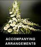 Accompanying - Radiance